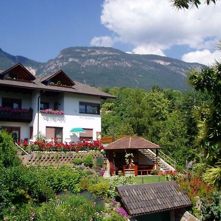Haus Marion Apartment Appiano Sulla Strada Del Vino Bagian luar foto