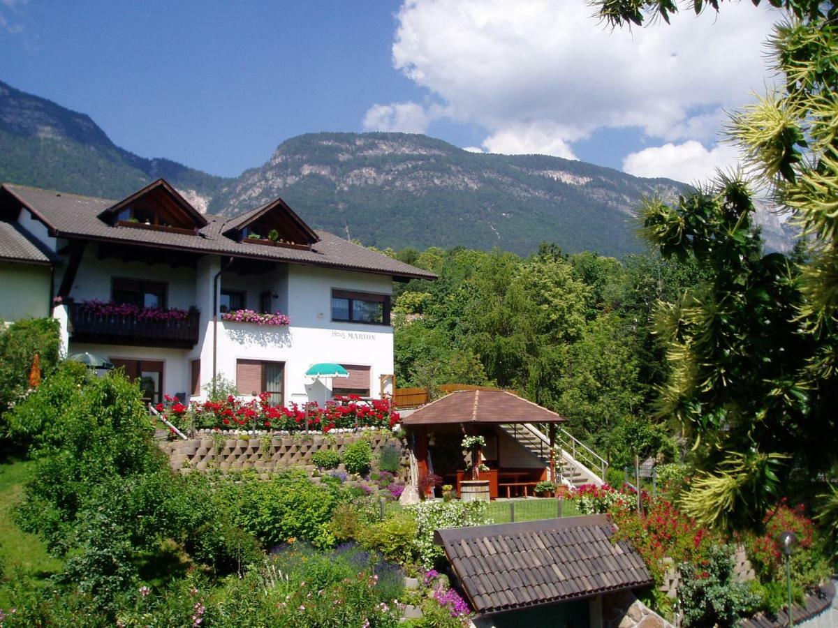 Haus Marion Apartment Appiano Sulla Strada Del Vino Bagian luar foto